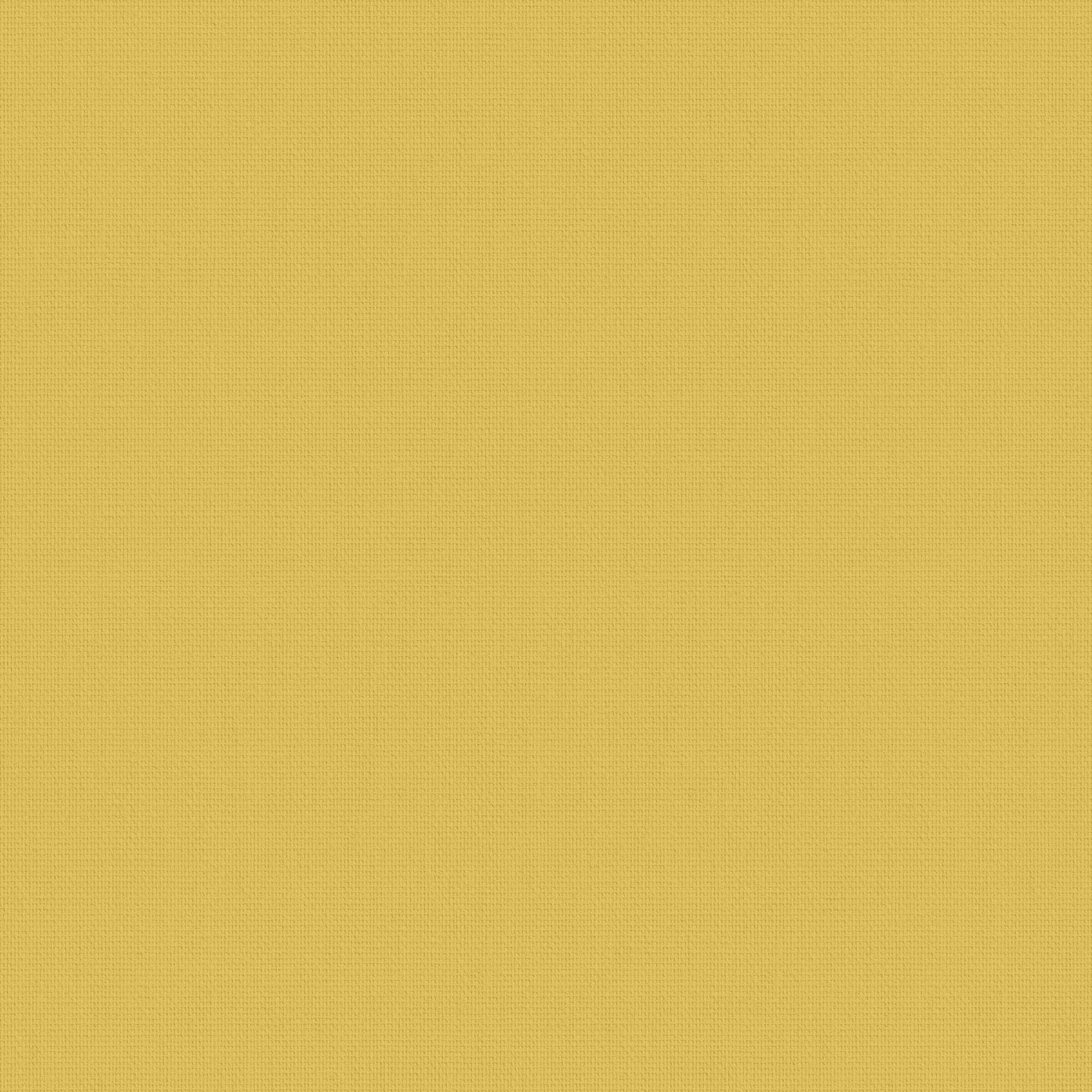 Arona Ray 2.4mt Roller